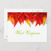 ウェストバージニア紅葉はがき ポストカード (正面/裏面)