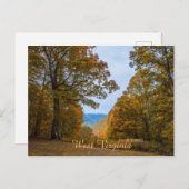 ウェストバージニア野生と素晴らしい秋の葉 ポストカード (正面/裏面)