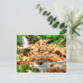 ウェストバージニア、ダグラス滝 ポストカード (スタンド正面)