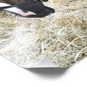 ウェストバージニア・ダービー勝者"Madefromlucky" フォトプリント (角)