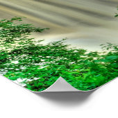 ウェストバージニア、ブラックウォーター滝 ポスター (角)