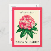 ウェストバージニア・ロードデンドロンからの挨拶 ポストカード (正面/裏面)