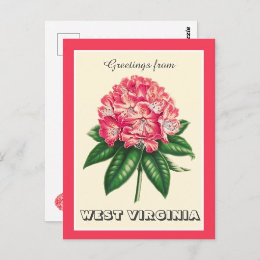 ウェストバージニア・ロードデンドロンからの挨拶 ポストカード (正面/裏面)