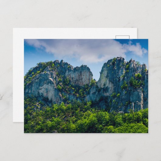 ウェストバージニア、夏のセネカロック ポストカード (正面/裏面)