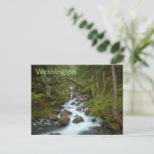 ウェストフォークフォスリバーワシントン ポストカード (スタンド正面)