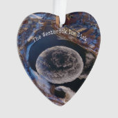 ウェストブルックアイスディスクメイン オーナメント (正面)