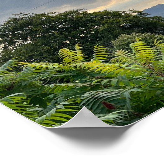 ウェストポートカウンティマヨアイルランドヨーロッパ ポスター (角)