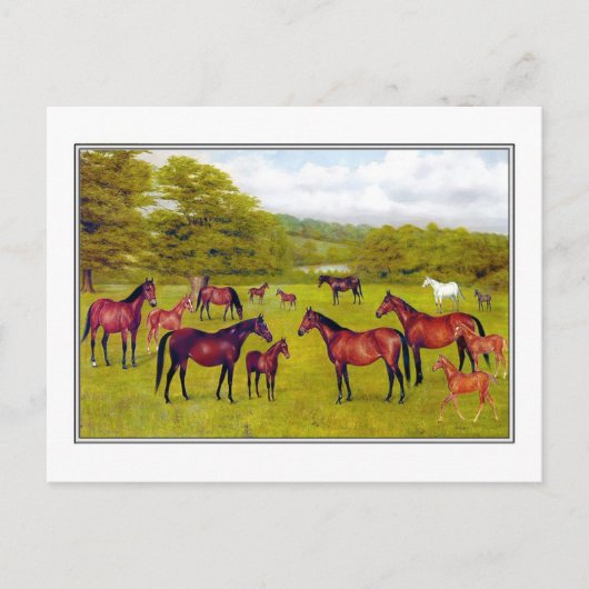 ウェストミンスター公爵とフォアール ポストカード (正面)