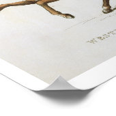 ウェストミンスター騎兵ボランティア、プレート4から「忠実」 ポスター (角)