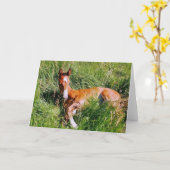 ウェストンの昼寝 カード (黄色い花)