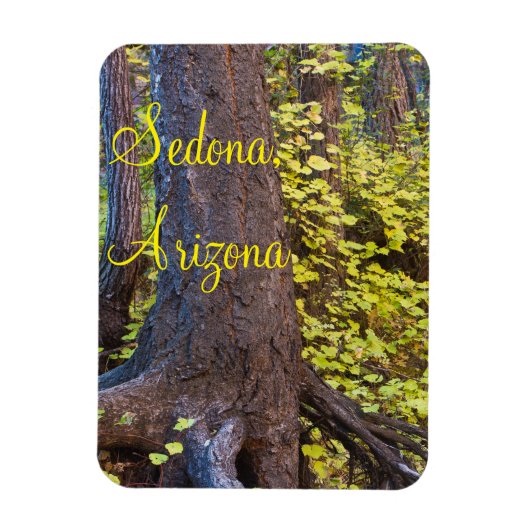 ウェスト葉フォークトレイルのゴールデンの道 マグネット (縦)