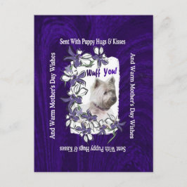 ウェスト・ハイランド・テリア愛らしい母の日の願い ポストカード
