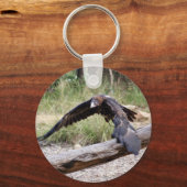 ウェッジテールイーグル飛んでいる キーホルダー (正面)