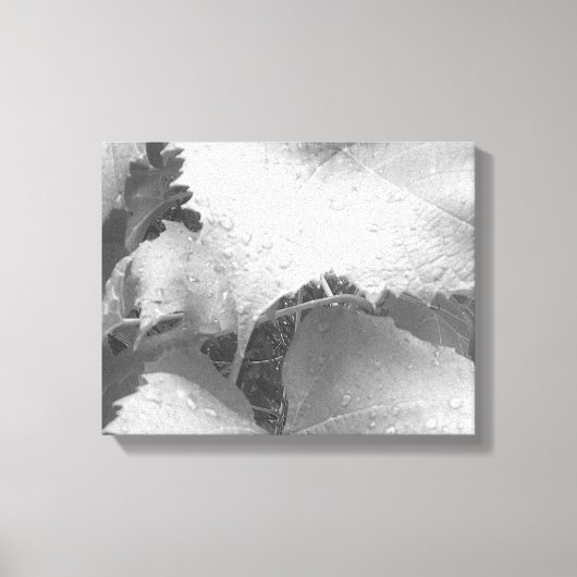 ウェットとディウィーのブドウのの白黒葉写真 キャンバスプリント (正面)