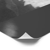 ウェットとディウィーのブドウのの白黒葉写真 ポスター (コーナー)