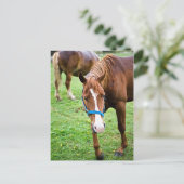 ウェットクリ ポストカード (スタンド正面)