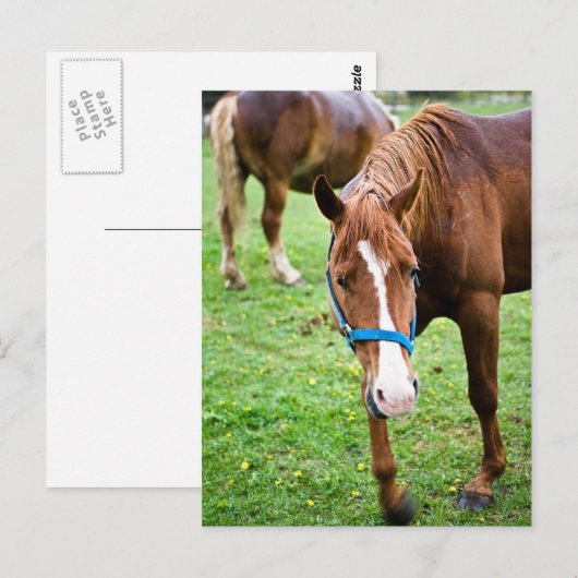 ウェットクリ ポストカード (正面/裏面)