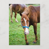 ウェットクリ ポストカード (正面)