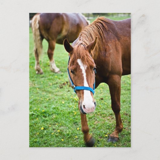 ウェットクリ ポストカード (正面)