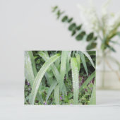 ウェットグリーン葉 ポストカード (スタンド正面)