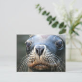 ウェットシールはがき ポストカード (スタンド正面)