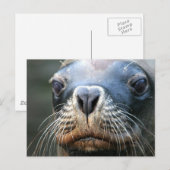 ウェットシールはがき ポストカード (正面/裏面)