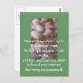 ウェットストーン ポストカード (正面/裏面)