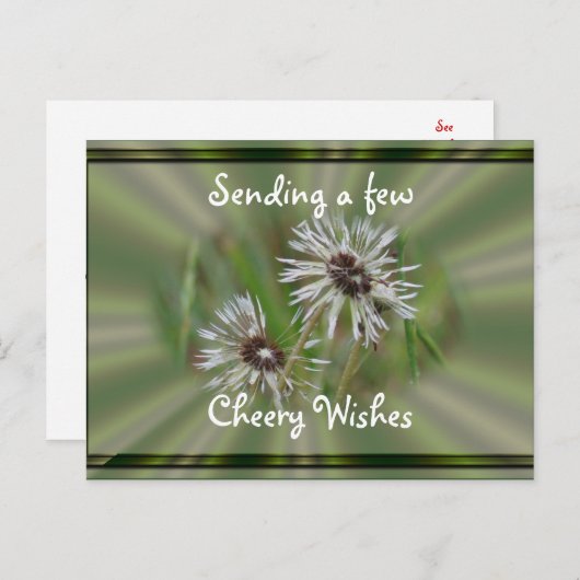 ウェットダンデリオポストカード – 応援または任意の大事な行事 ポストカード (正面/裏面)