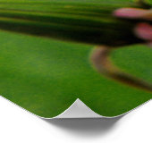 ウェットダンデロン ポスター (角)