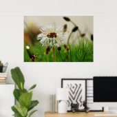 ウェットダンデロン ポスター (ホームオフィス)