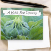 ウェットヒマワリの芽のクローズアップ写真 ポストカード