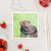 ウェットビーバー スタンダードカクテルナプキン (インサイチュ)