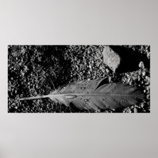 ウェットフェザー ポスター