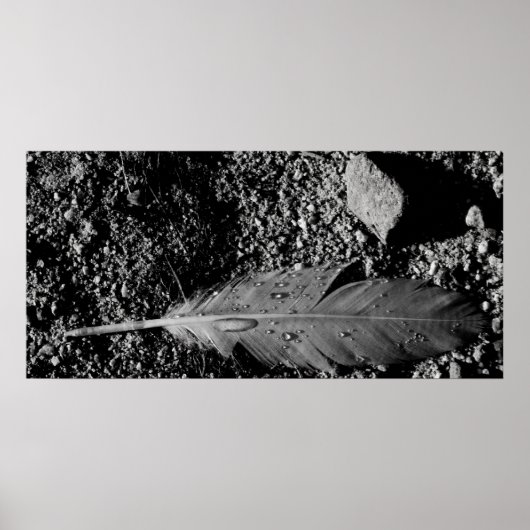 ウェットフェザー ポスター (正面)