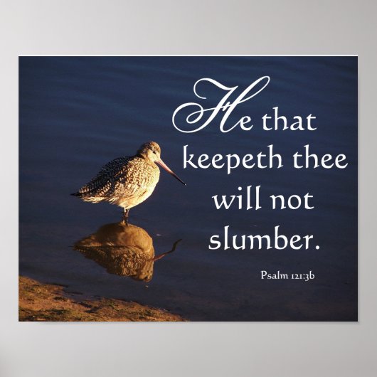 ウェットランズゴドウィットバードゴウィズ保神がプリント ポスター (正面)