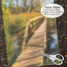 ウェットランズボードウォークシーンアーリー秋 薄葉紙