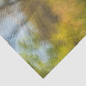 ウェットランズボードウォークシーンアーリー秋 薄葉紙 (詳細)