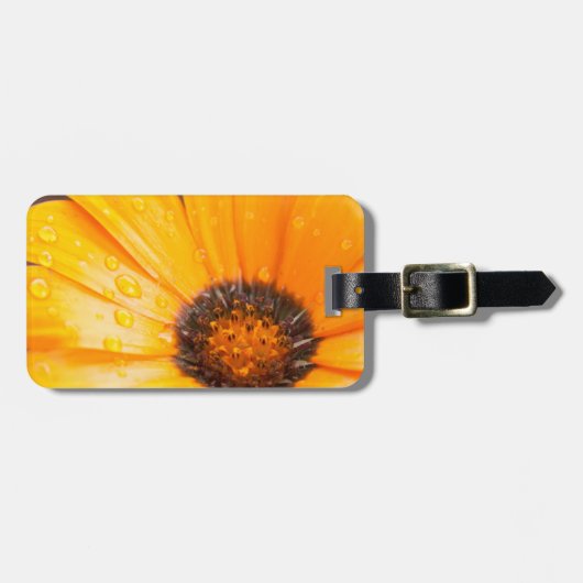 ウェット春フラッシュアフリカデイジー写真 ラゲッジタグ (正面横)