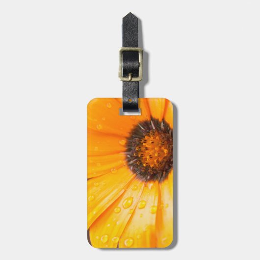 ウェット春フラッシュアフリカデイジー写真 ラゲッジタグ (正面縦)
