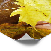 ウェット葉自然と岩秋の写真撮影 ポスター (角)