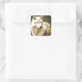 ウェットArctic Wolf春写真 スクエアシール (バッグ)