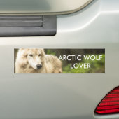 ウェットArctic Wolf春写真 バンパーステッカー (車上)