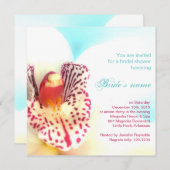 ウェディングシャワー招待状 招待状 (正面/裏面)