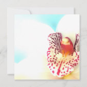 ウェディングシャワー招待状 招待状 (裏面)