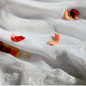 ウェディングフラットカード