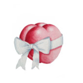 ウェディング用の白いリボンで結ばれた赤いハート フェイバーボックス