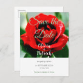 ウェディング・レッド・ローズ・セーブ・ザ・デート インビテーションポストカード (正面/裏面)