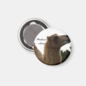 ウェドロセエーカーズラクダ磁石 マグネット (正面/裏面)