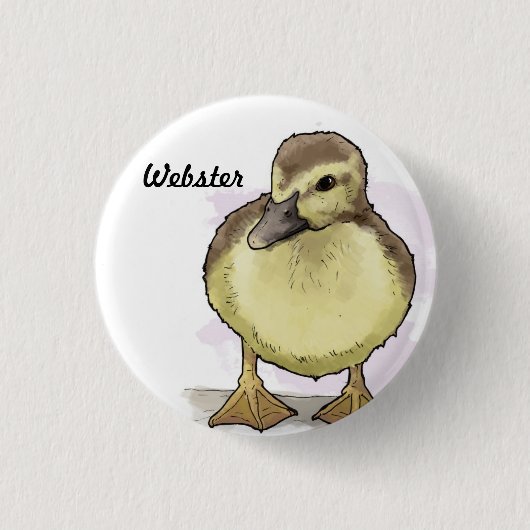 ウェブスターボタン 缶バッジ (正面)
