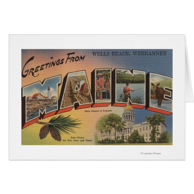 ウェブハンネット，メイン(ウェルズビーチ) (正面横)